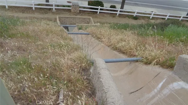 a view of a lush green forest with lawn chairs under a large tree