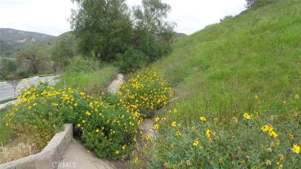 a view of a dry yard with green space