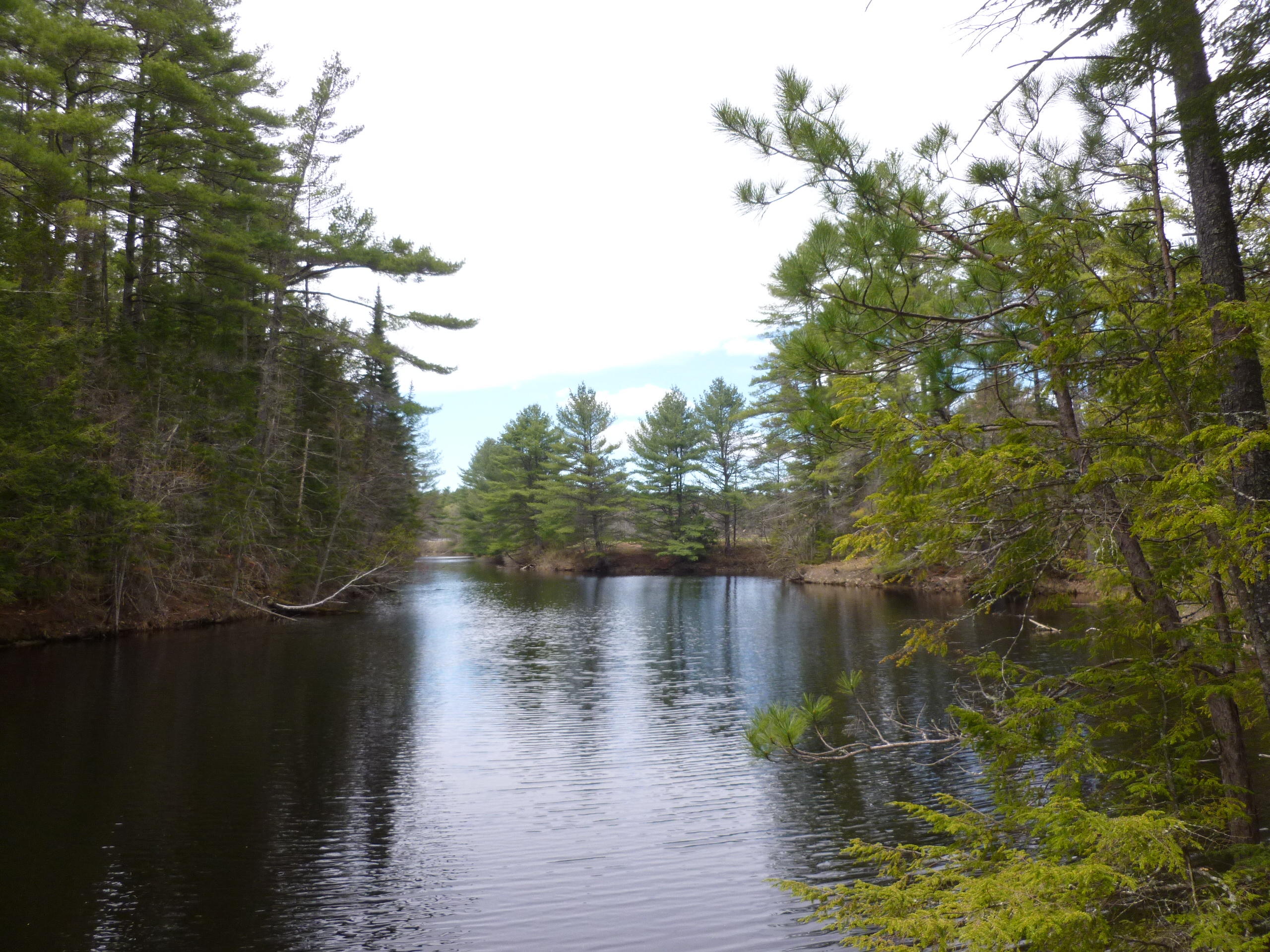 521 Saco Road Standish, ME 04084 - Photo 29 of 32 44