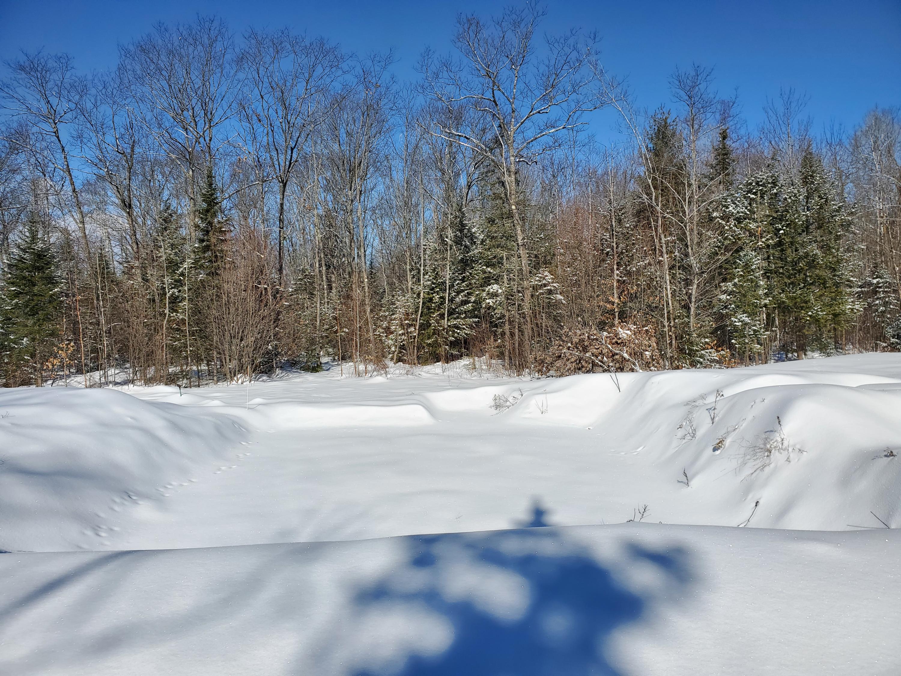 M4-l61-1 Intervale Road New Sharon, ME 04955 - Photo 10 of 38 TBD Intervale Rd