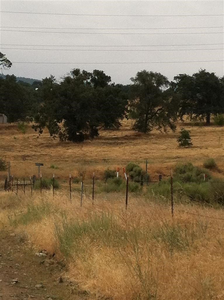 19942 Banducci Road Tehachapi, CA 93561 - Photo 7 of 11 Gallery Image 7