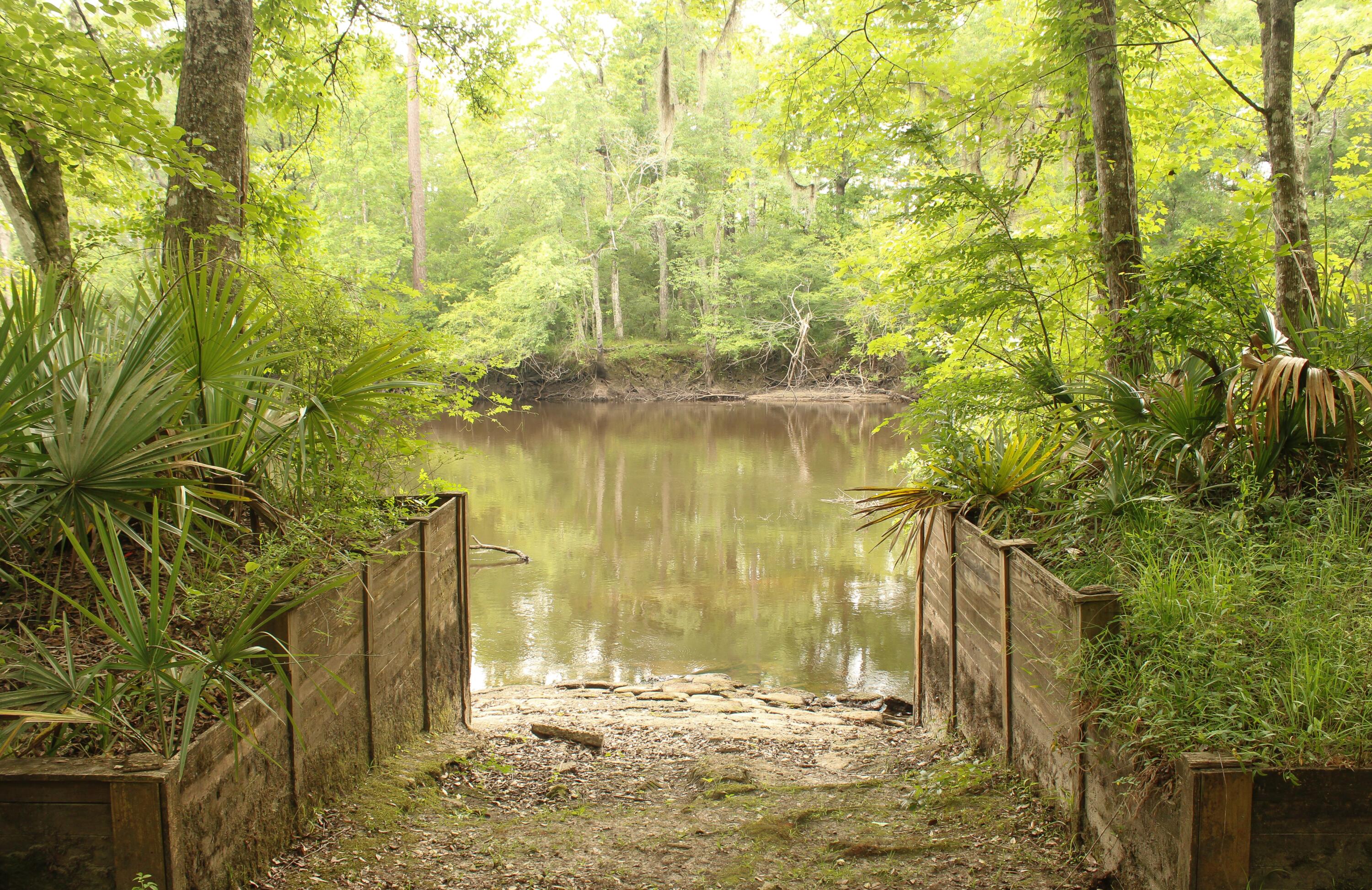 5451 Wire Road Branchville, SC 29432 - Photo 1 of 31