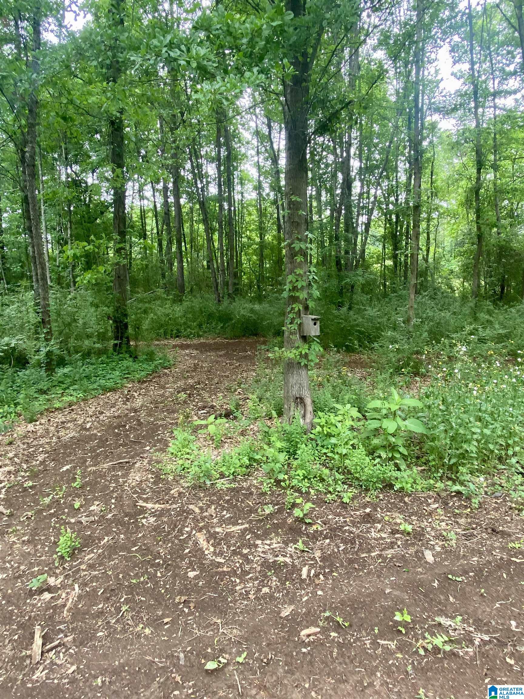 6031 Pleasant Hill Road Bessemer, AL 35022 - Photo 55 of 56