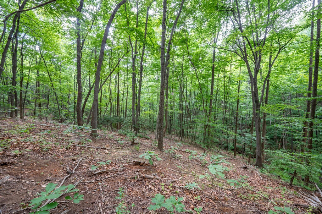 72-acres Trot Valley Road Stuart, VA 24171 - Photo 25 of 31 Gallery Image 25