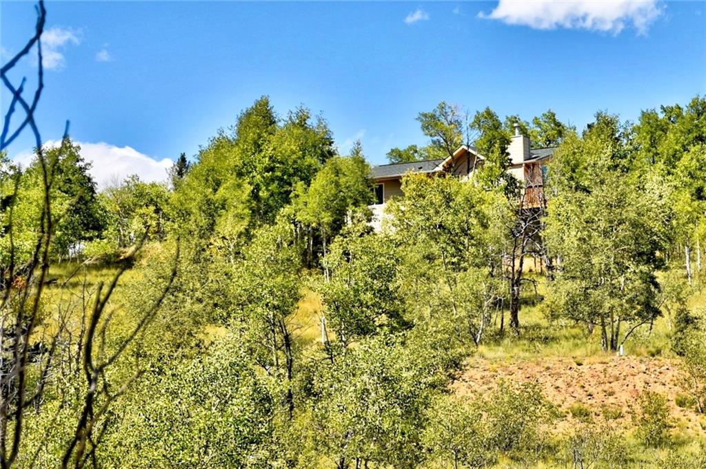 293 Old Squaw Road Como, CO 80432 - Photo 1 of 21 a view of a big yard with lots of bushes