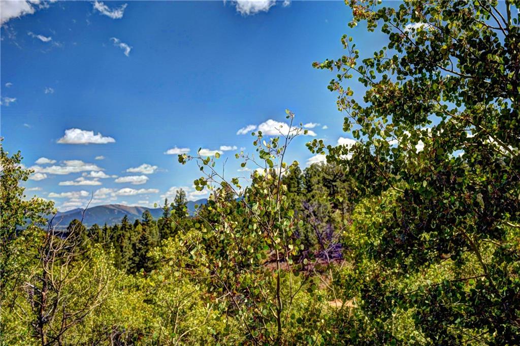 293 Old Squaw Road Como, CO 80432 - Photo 11 of 21 a view of a flower in a garden