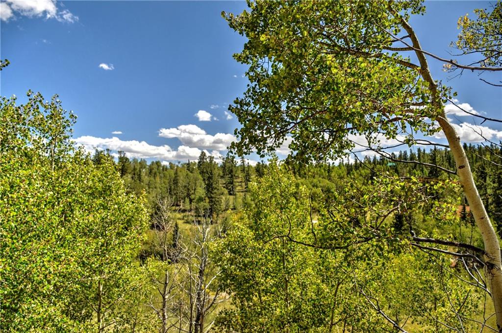 293 Old Squaw Road Como, CO 80432 - Photo 12 of 21 a view of a bunch of trees