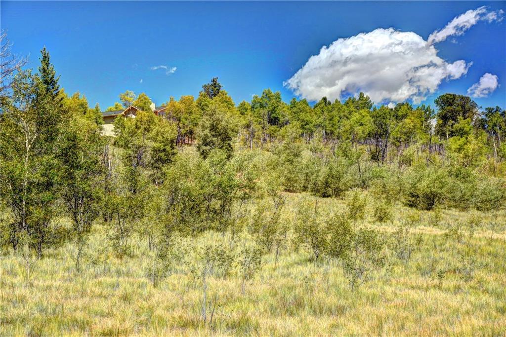 293 Old Squaw Road Como, CO 80432 - Photo 15 of 21