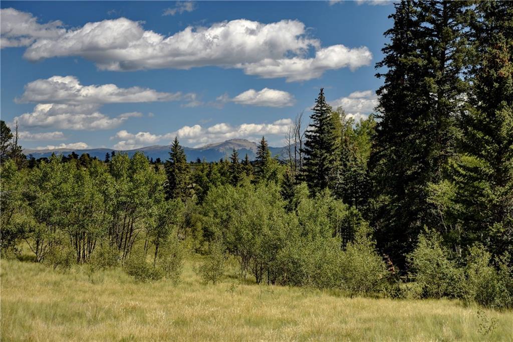 293 Old Squaw Road Como, CO 80432 - Photo 3 of 21 a view of a bunch of trees