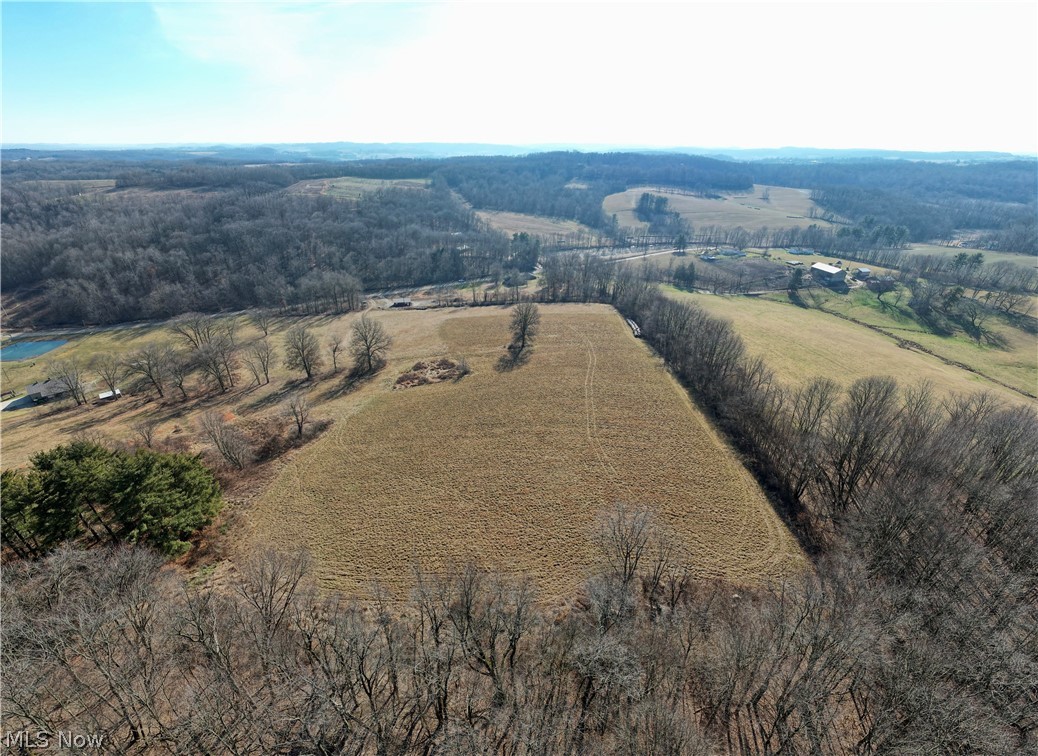 Cherry Run Road Dundee, OH 44624 - Photo 4 of 6 Gallery Image 4