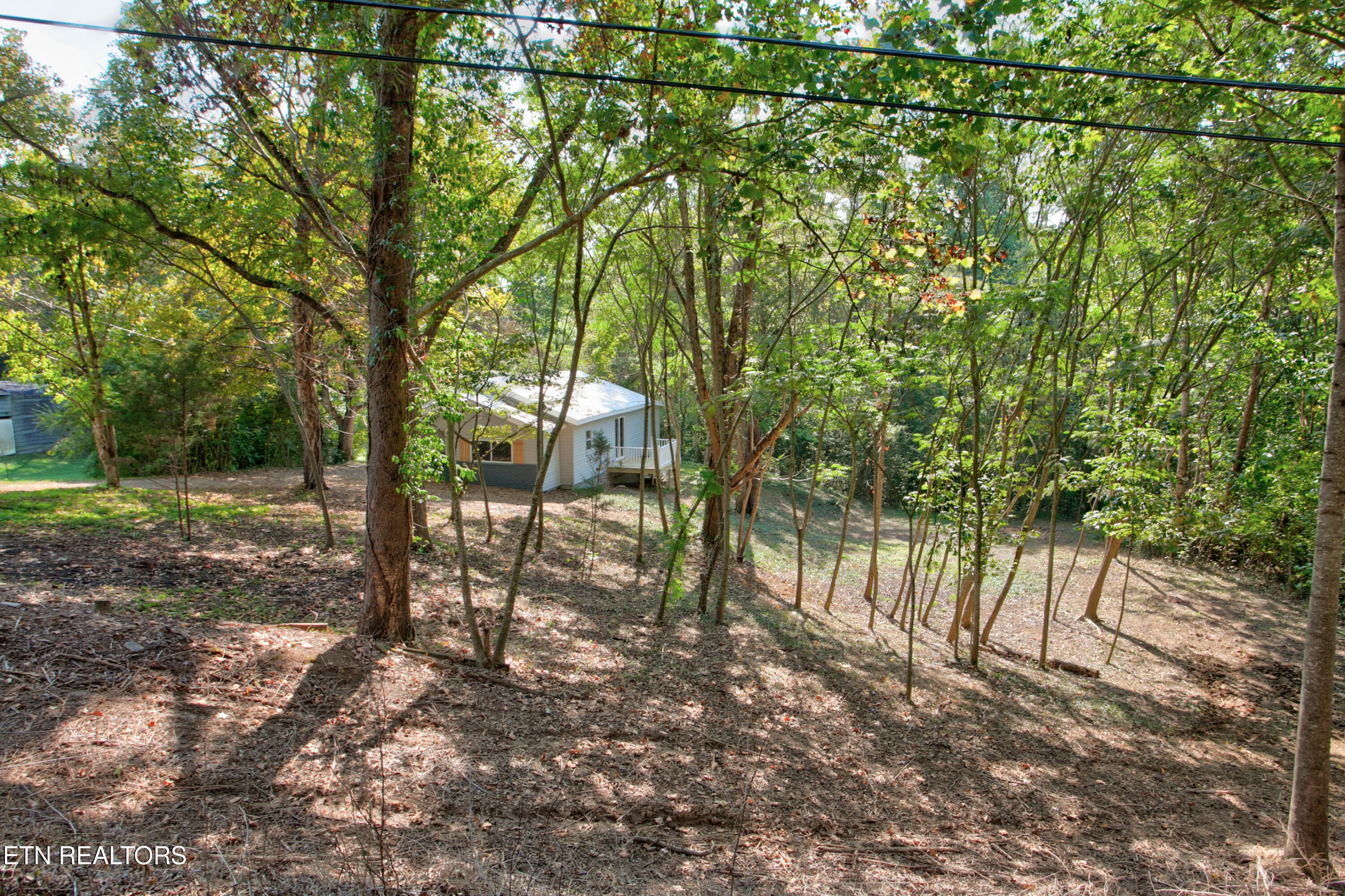 4532 Cambridge Road Walland, TN 37886 - Photo 33 of 47 4532 CambridgeRd033