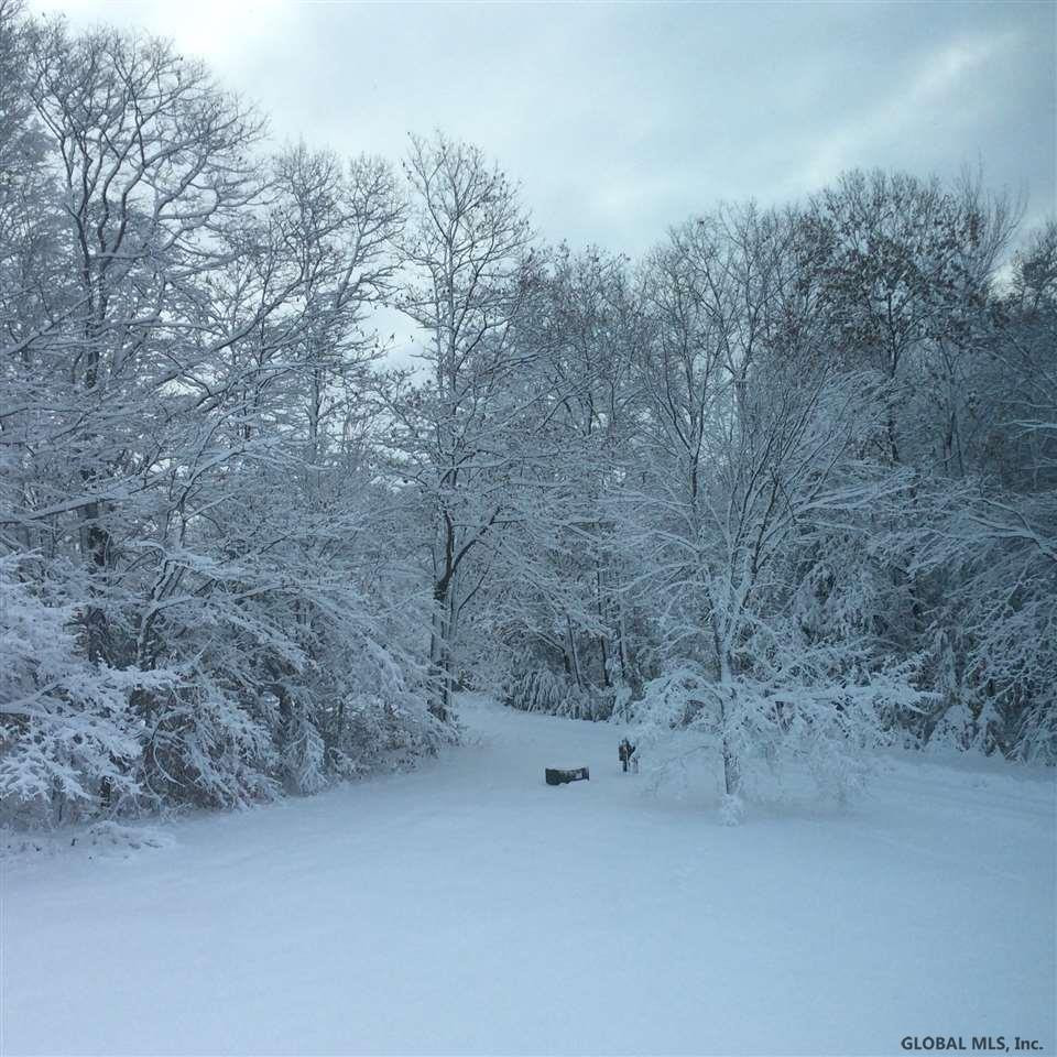 0 Fish House Road Galway, NY 12074 - Photo 3 of 5 Photo 3