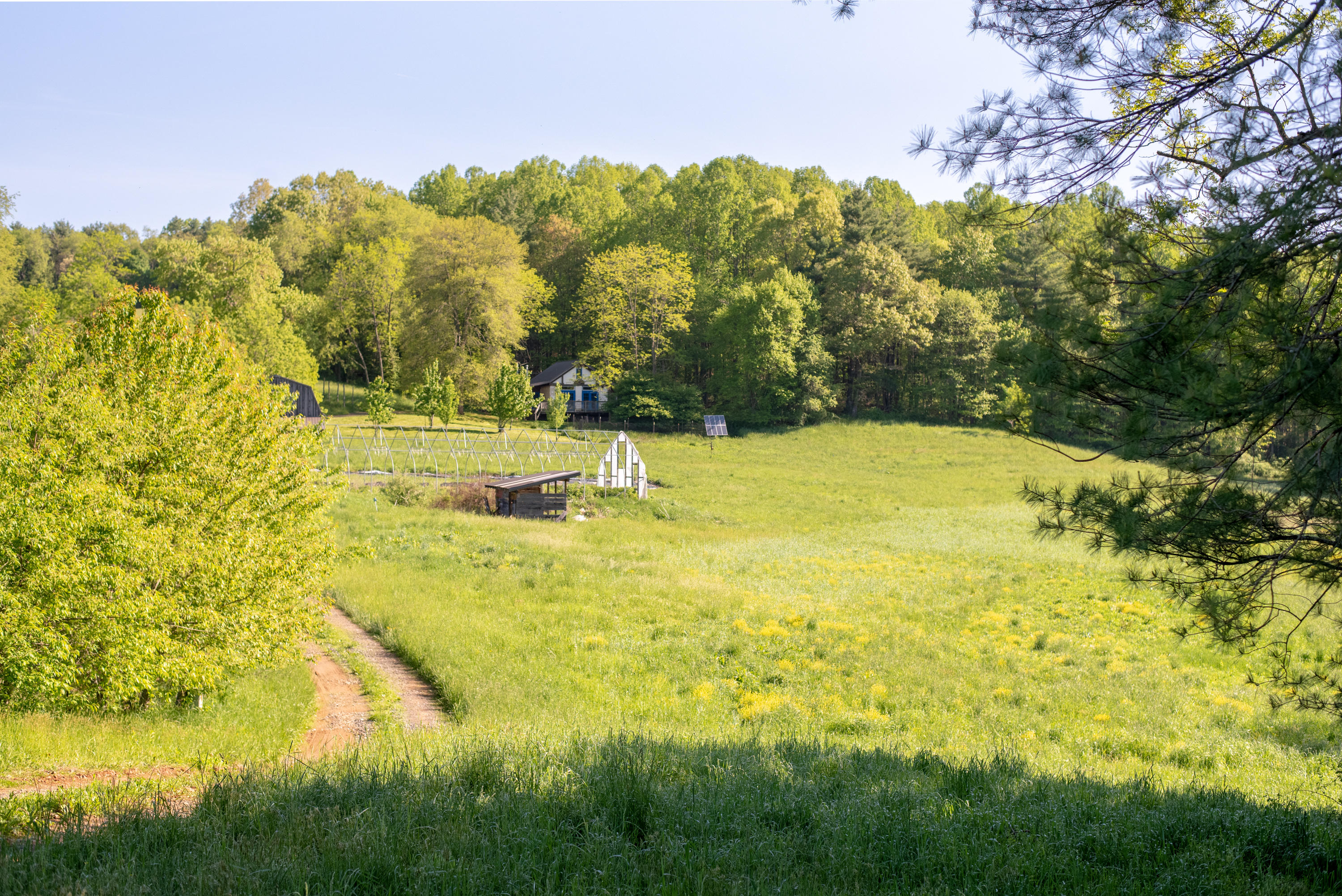 483 Eanes Road Northeast Check, VA 24072 - Photo 22 of 31 a view of a yard with an outdoor space