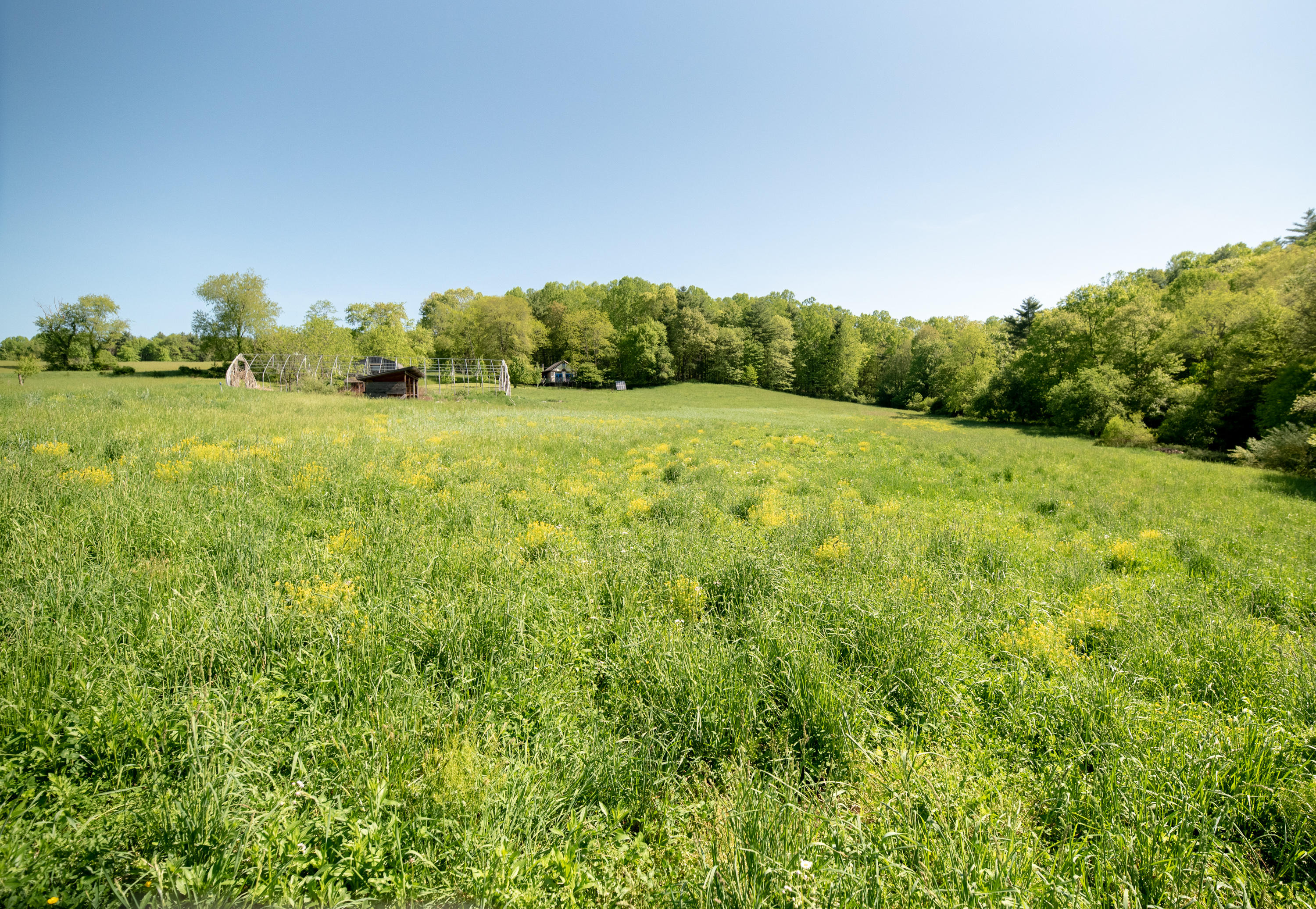 483 Eanes Road Northeast Check, VA 24072 - Photo 23 of 31 a big yard with lots of green space
