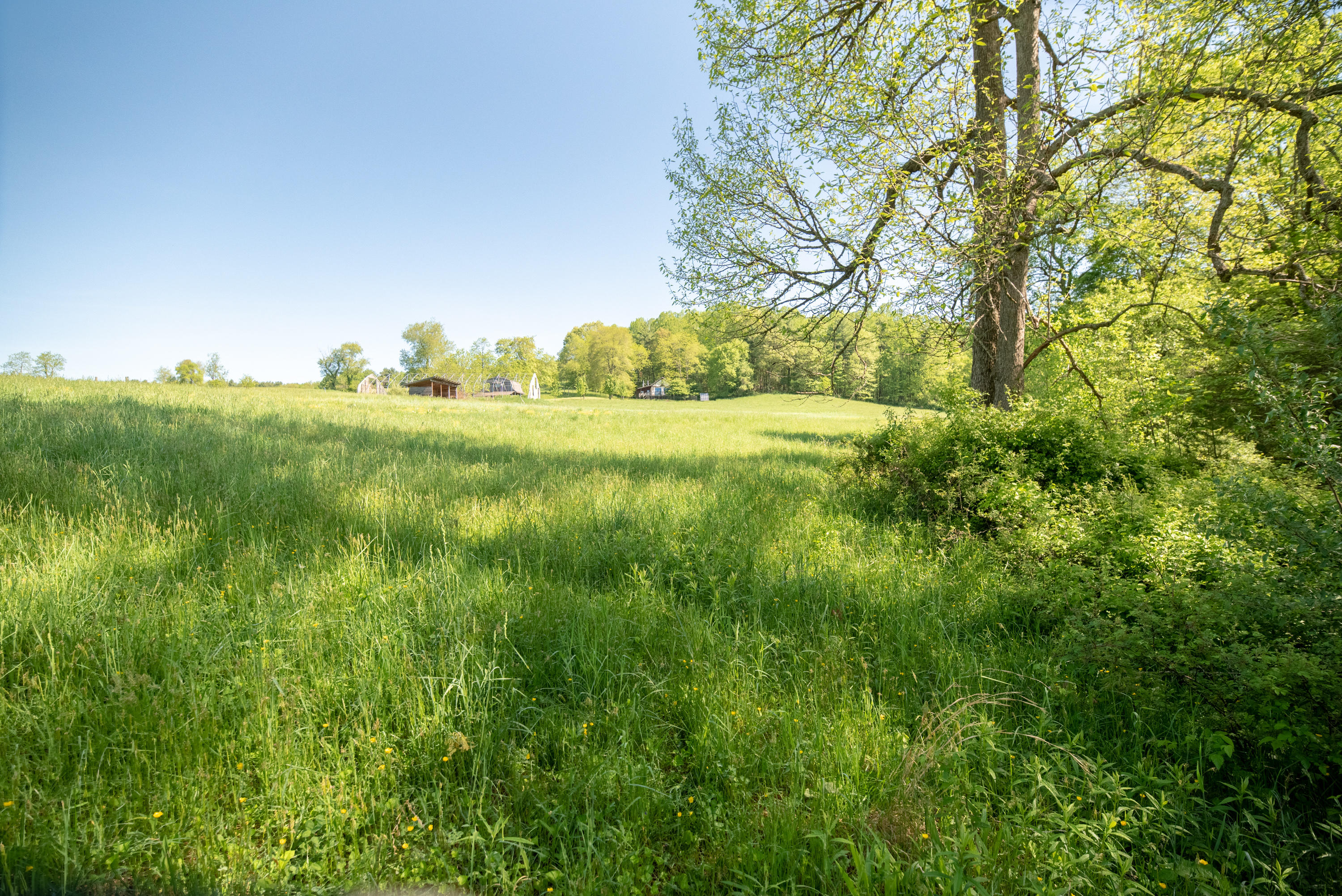 483 Eanes Road Northeast Check, VA 24072 - Photo 24 of 31 a view of a green field with lots of bushes