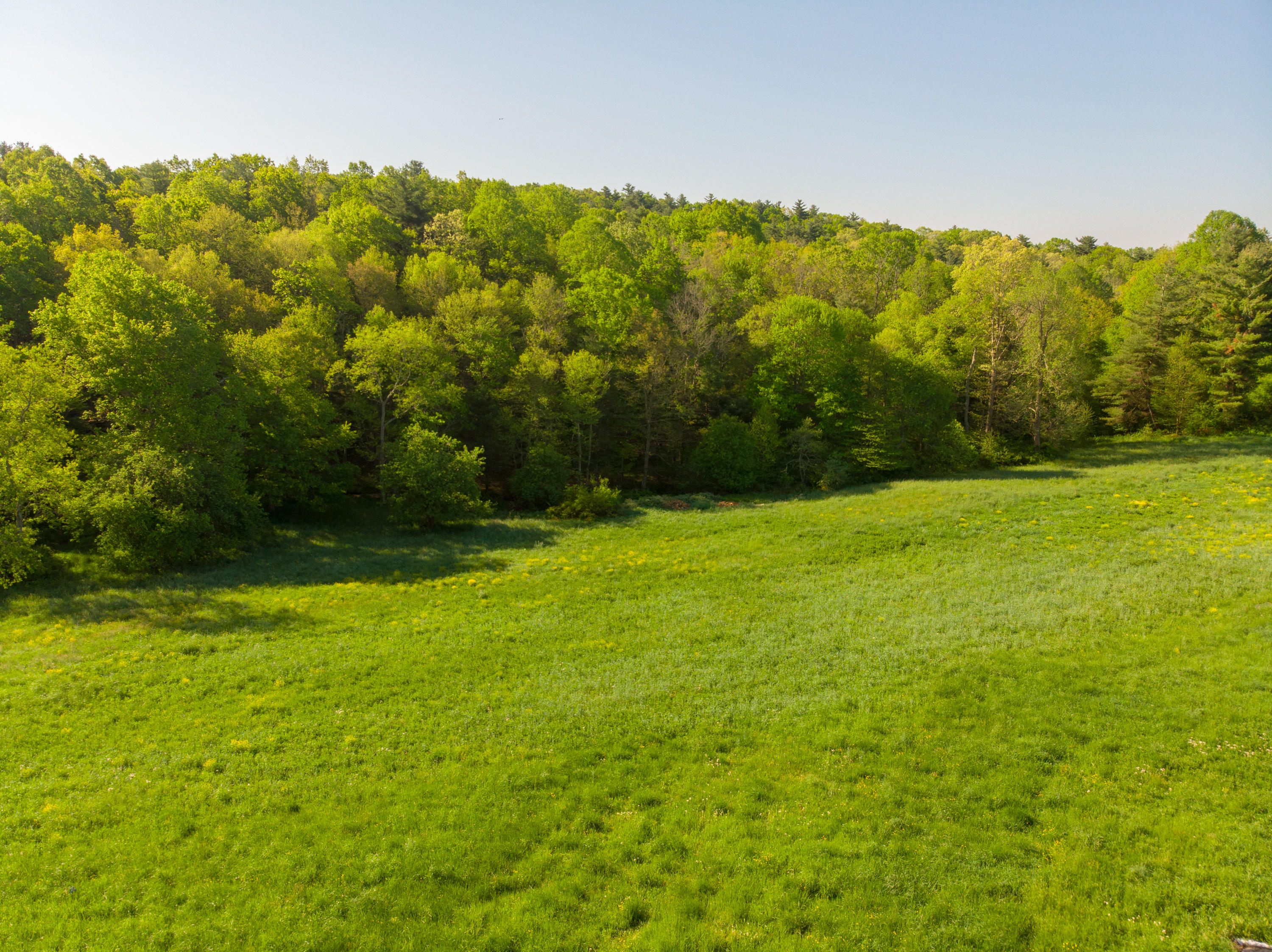 483 Eanes Road Northeast Check, VA 24072 - Photo 25 of 31 a view of an ocean from a yard