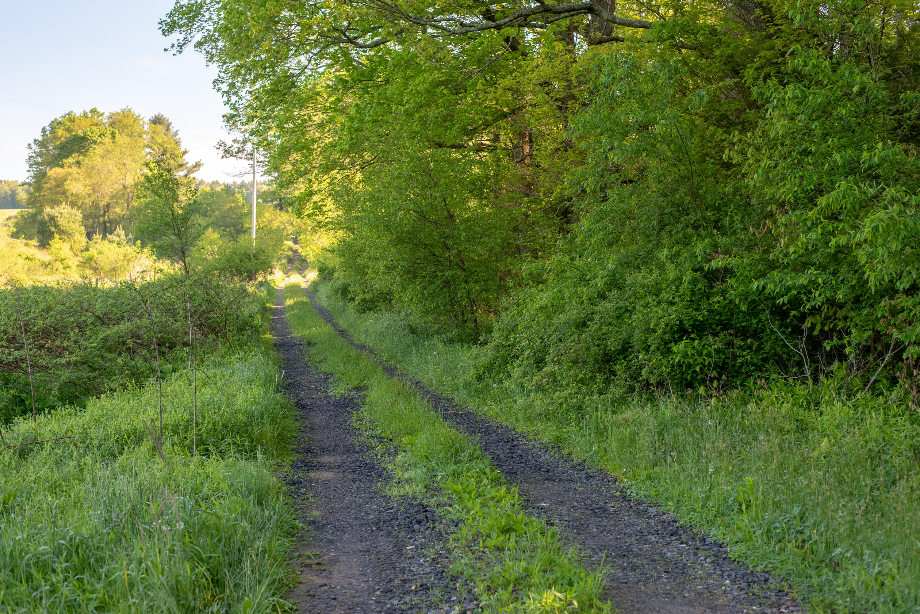 483 Eanes Road Northeast Check, VA 24072 - Photo 28 of 31 a view of a large yard with lots of green space