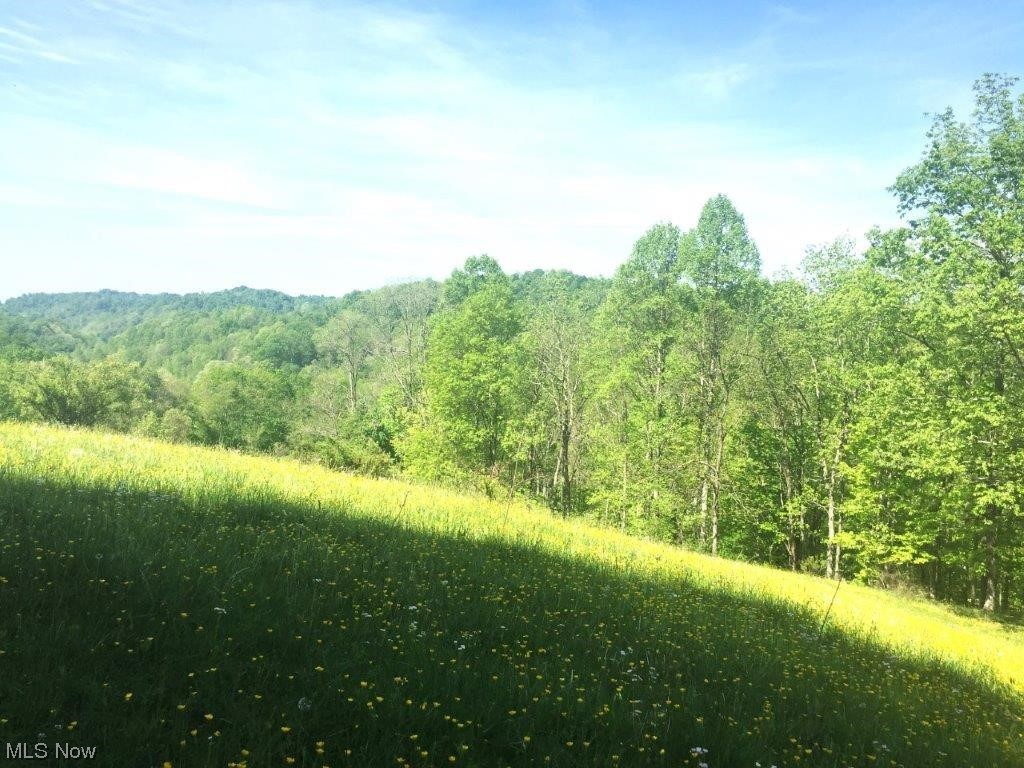1898 Tariff Road Left Hand, WV 25251 - Photo 21 of 23
