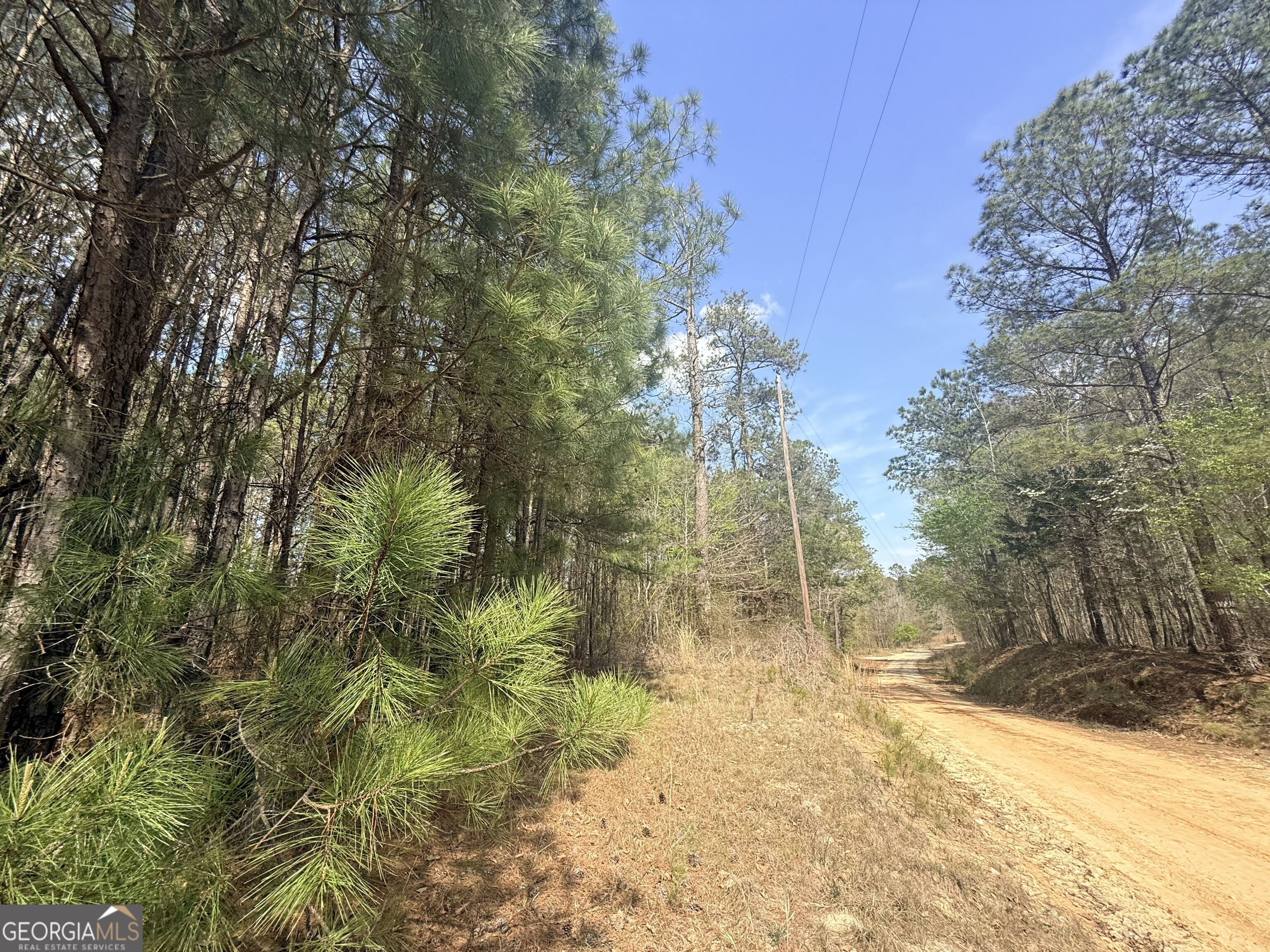 15 Hollis Norman Road Tignall, GA 30668 - Photo 8 of 23