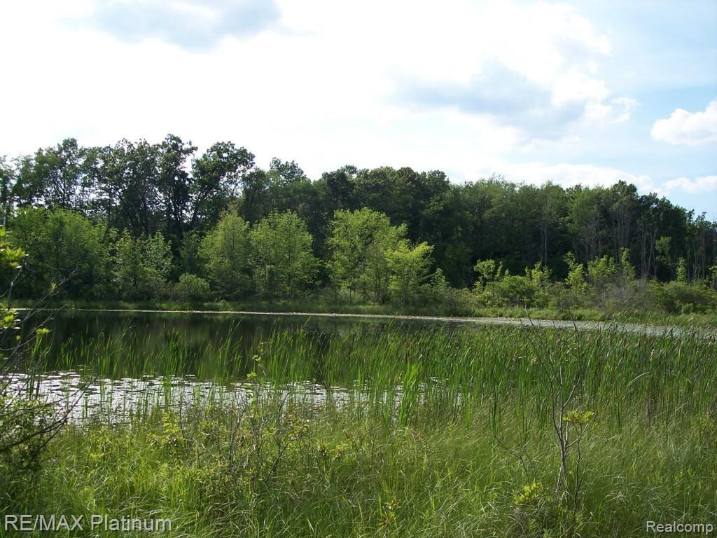 7117 North Fleming Road Fowlerville, MI 48836 - Photo 4 of 97