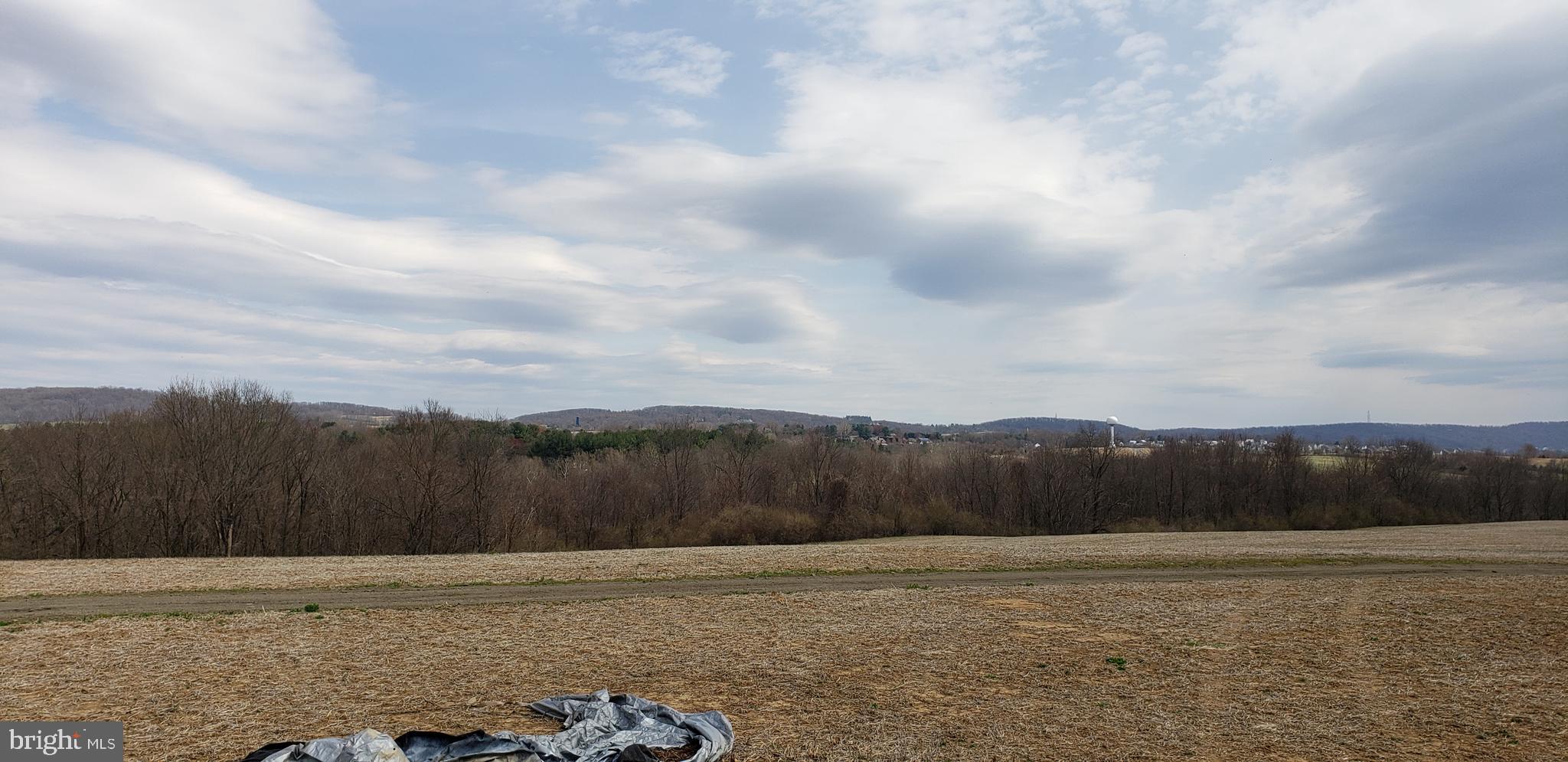5361 Carroll Boyer Road Middletown, MD 21769 - Photo 18 of 25 view to east