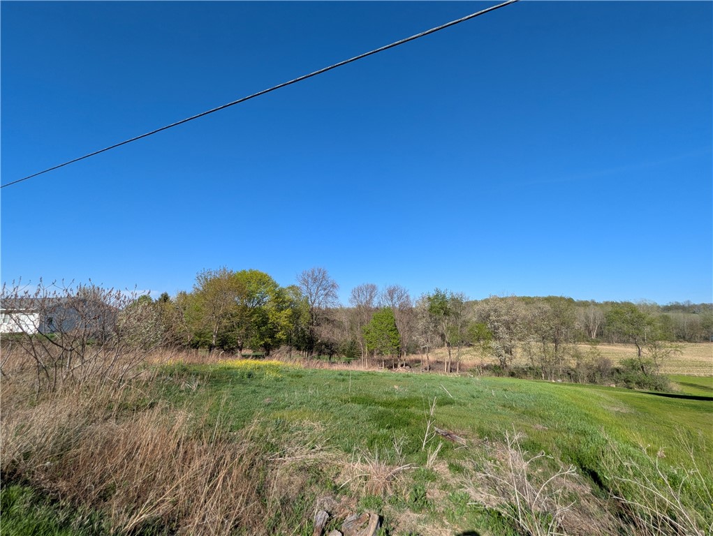 0 Co Road Palmyra, NY 14522 - Photo 3 of 6