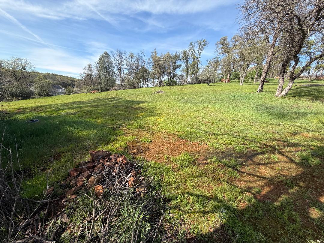 11845 Kimberly Road Loma Rica, CA 95901 - Photo 1 of 19 a view of a field with an trees