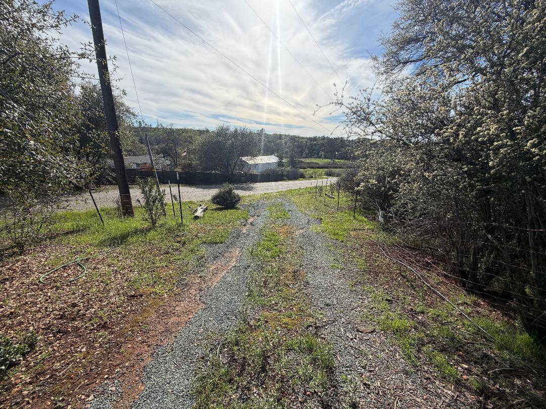 11845 Kimberly Road Loma Rica, CA 95901 - Photo 11 of 19 a view of a yard with plants and a bench