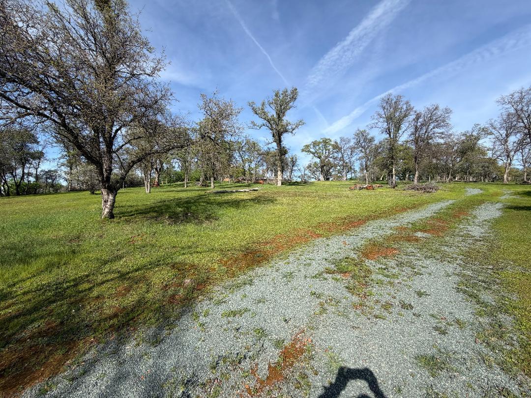 11845 Kimberly Road Loma Rica, CA 95901 - Photo 13 of 19 a view of a field with a tree