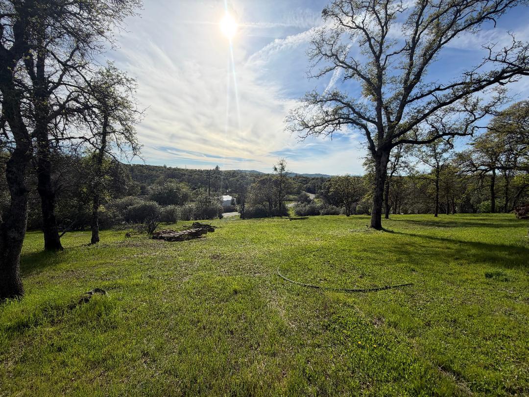 11845 Kimberly Road Loma Rica, CA 95901 - Photo 14 of 19 a view of grassy field with trees