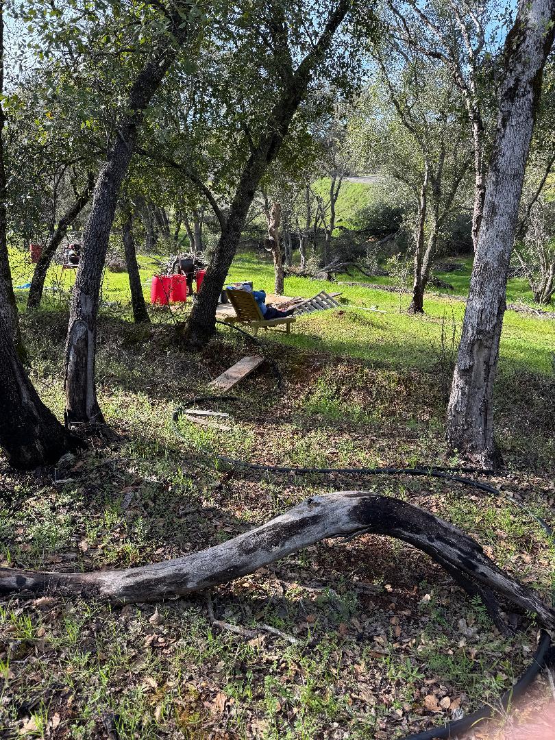 11845 Kimberly Road Loma Rica, CA 95901 - Photo 17 of 19 a view of a park with large trees
