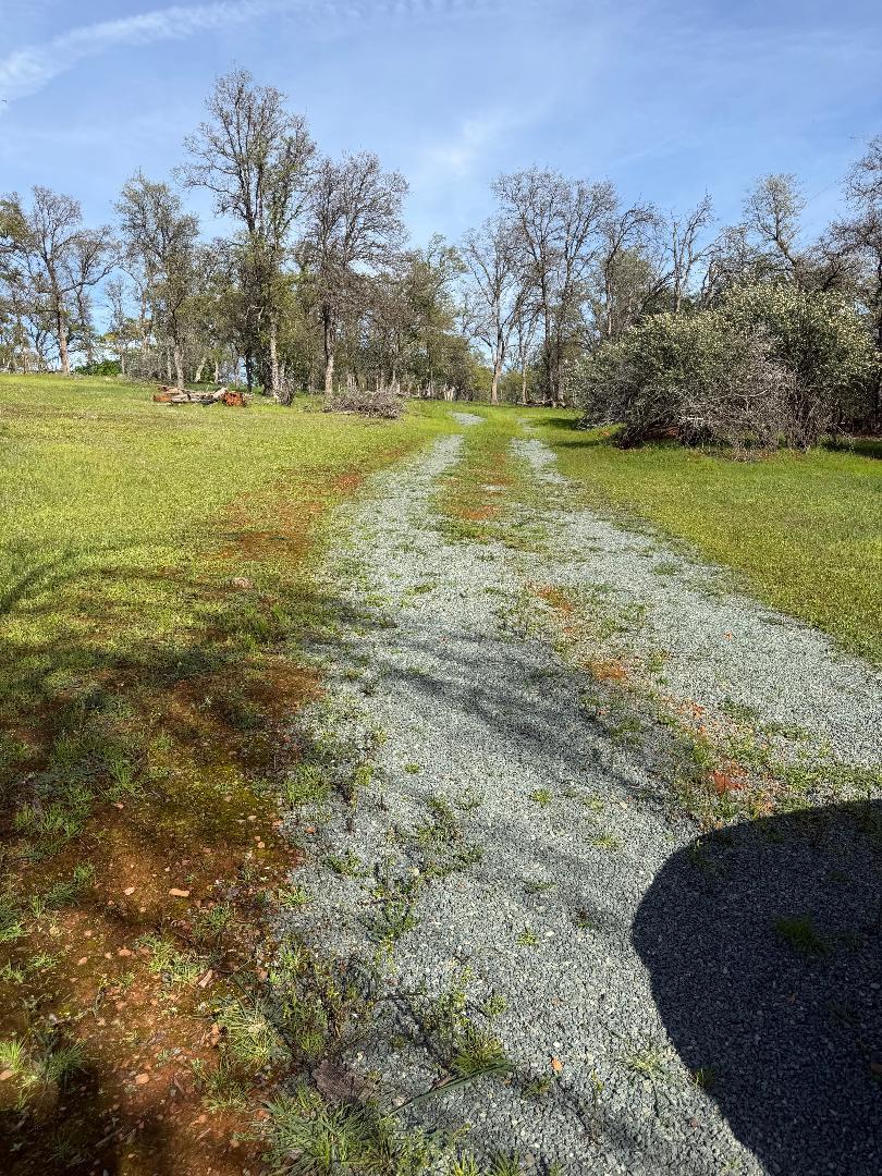 11845 Kimberly Road Loma Rica, CA 95901 - Photo 2 of 19 a view of an ocean and beach