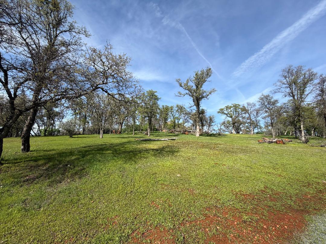 11845 Kimberly Road Loma Rica, CA 95901 - Photo 3 of 19 a view of a golf course with a lake view