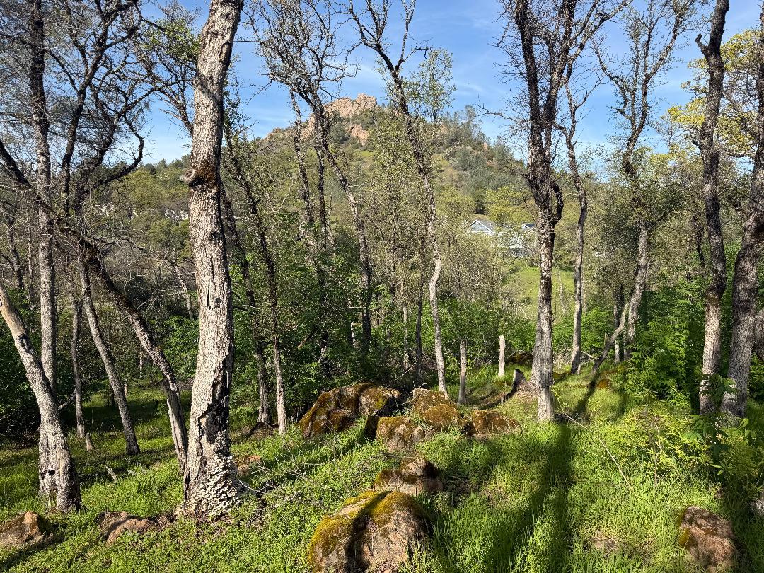 11845 Kimberly Road Loma Rica, CA 95901 - Photo 4 of 19 a view of a garden