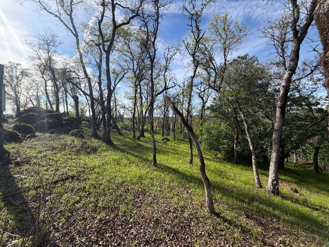 11845 Kimberly Road Loma Rica, CA 95901 - Photo 5 of 19 a view of a park