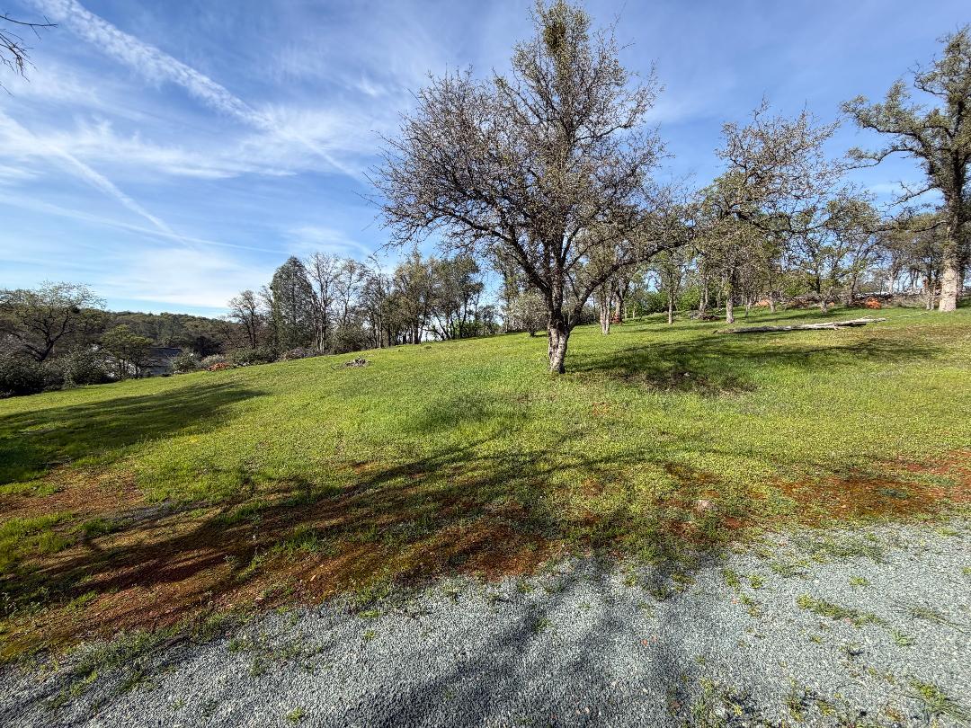 11845 Kimberly Road Loma Rica, CA 95901 - Photo 6 of 19 a view of a field with an trees