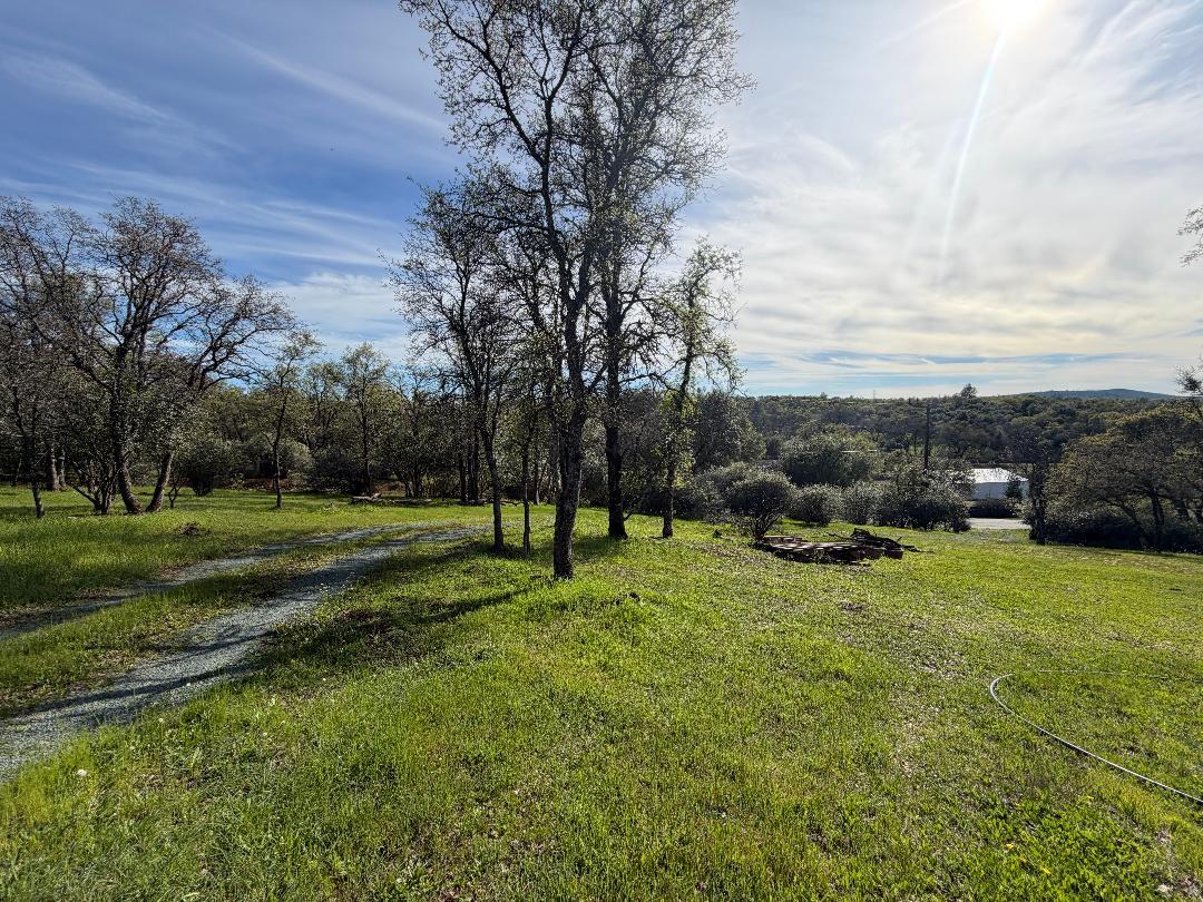 11845 Kimberly Road Loma Rica, CA 95901 - Photo 9 of 19 a view of a field with a tree