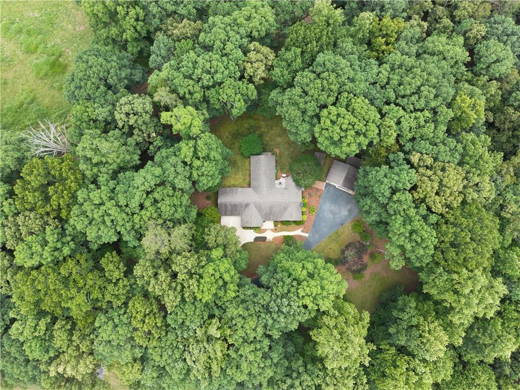 2290 Alec Mountain Road Clarkesville, GA 30523 - Photo 46 of 69