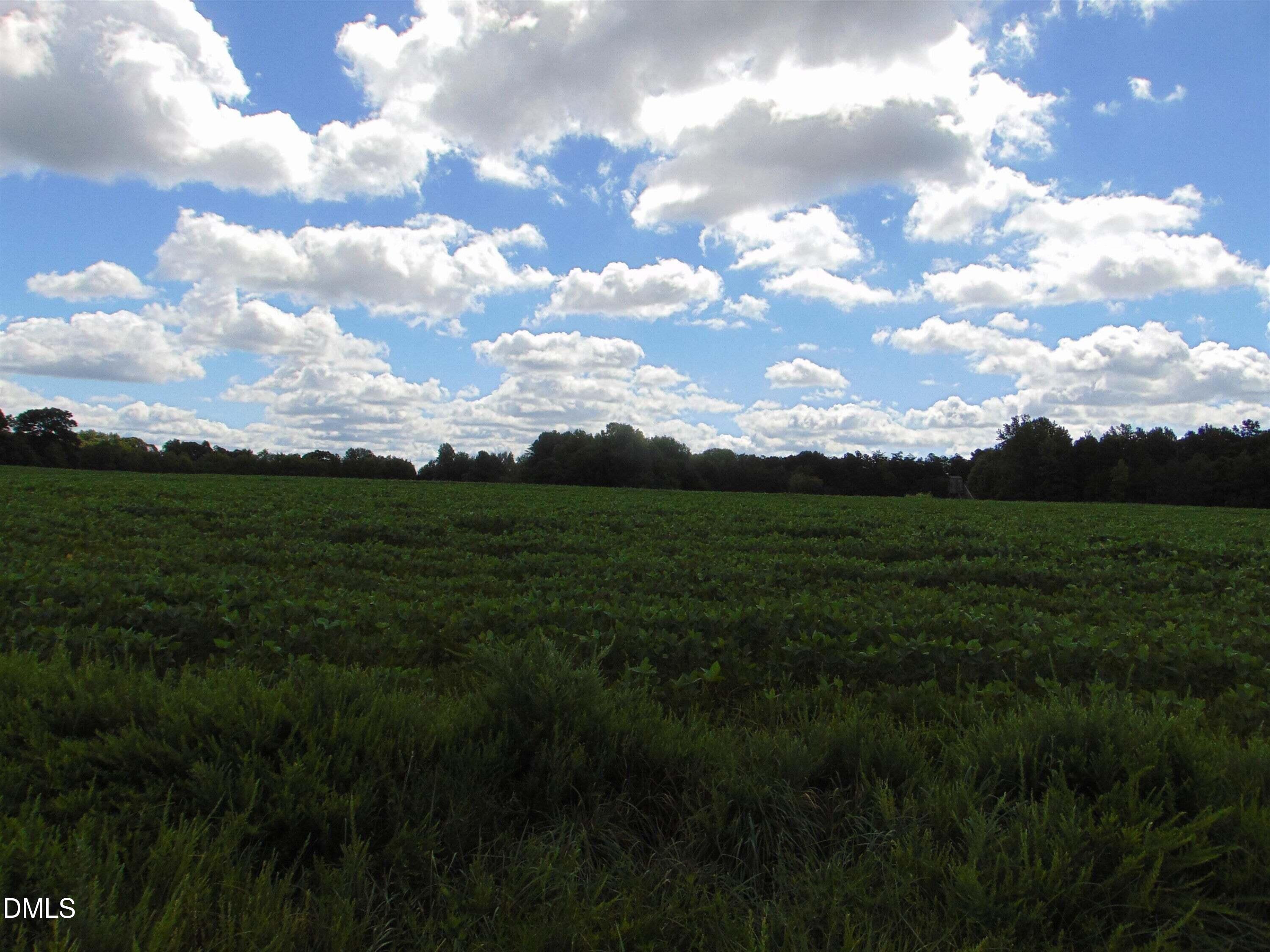 Lot 2 Caviness Jordan Road Cedar Grove, NC 27231 - Photo 9 of 14 a view of a lush green space