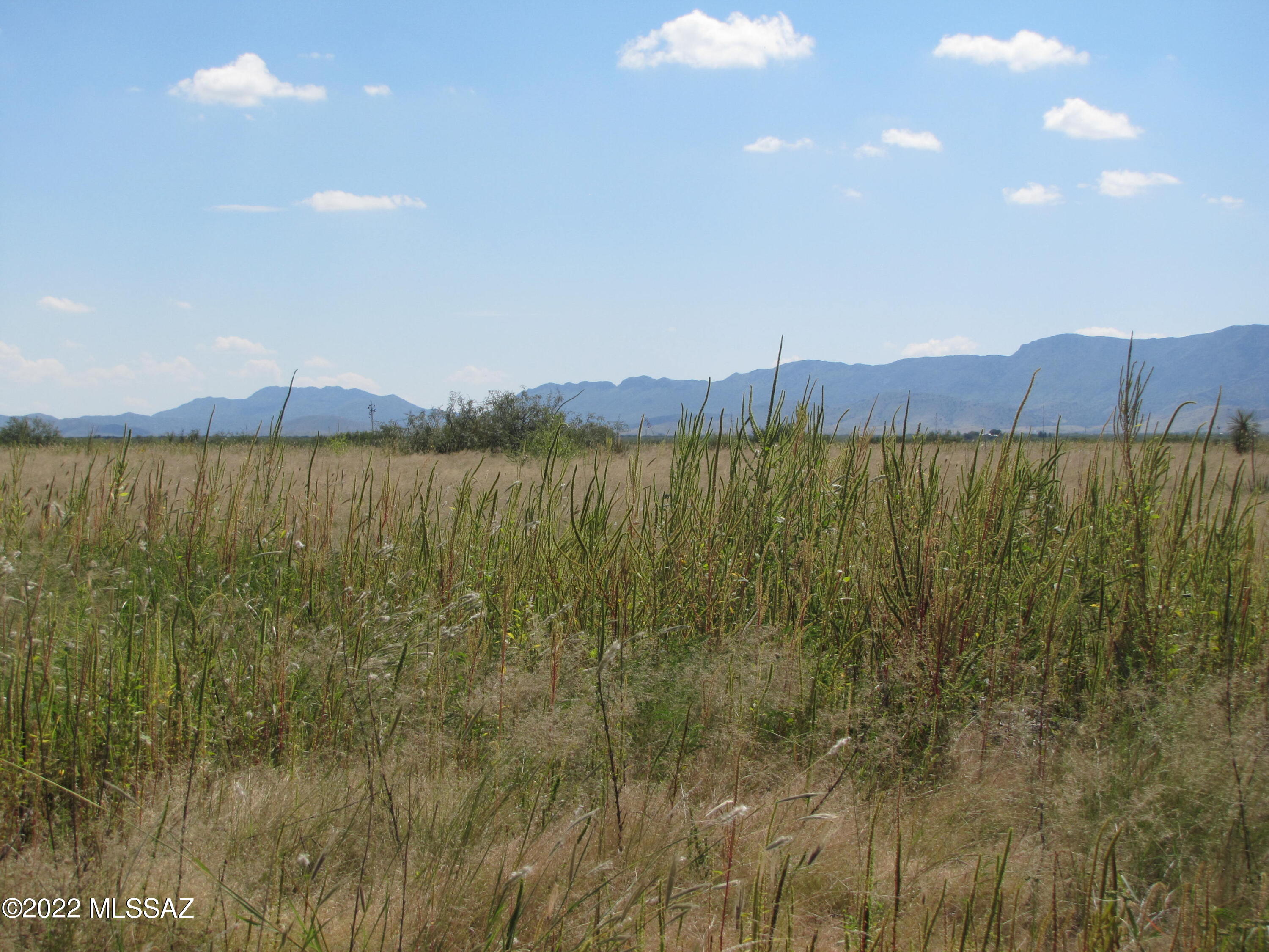 Tbd Rising Street, Unit 5 Pearce, AZ 85625 - Photo 3 of 6