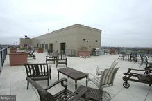 401 13th Street Northeast, Unit 406 Washington, DC 20002 - Photo 4 of 30 Community