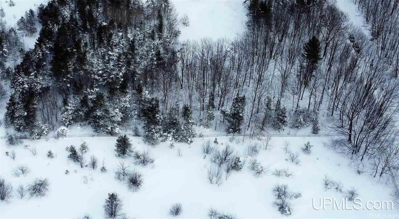 Tbd Siira Road Atlantic Mine, MI 49905 - Photo 8 of 17