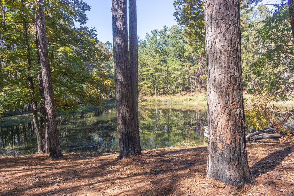 1109 Richardsons Lake Road Aiken, SC 29803 - Photo 15 of 66