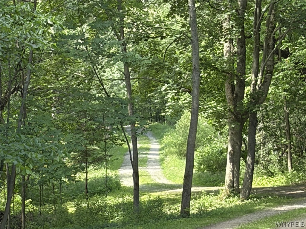 11709 Scotch Road Freedom, NY 14065 - Photo 30 of 30