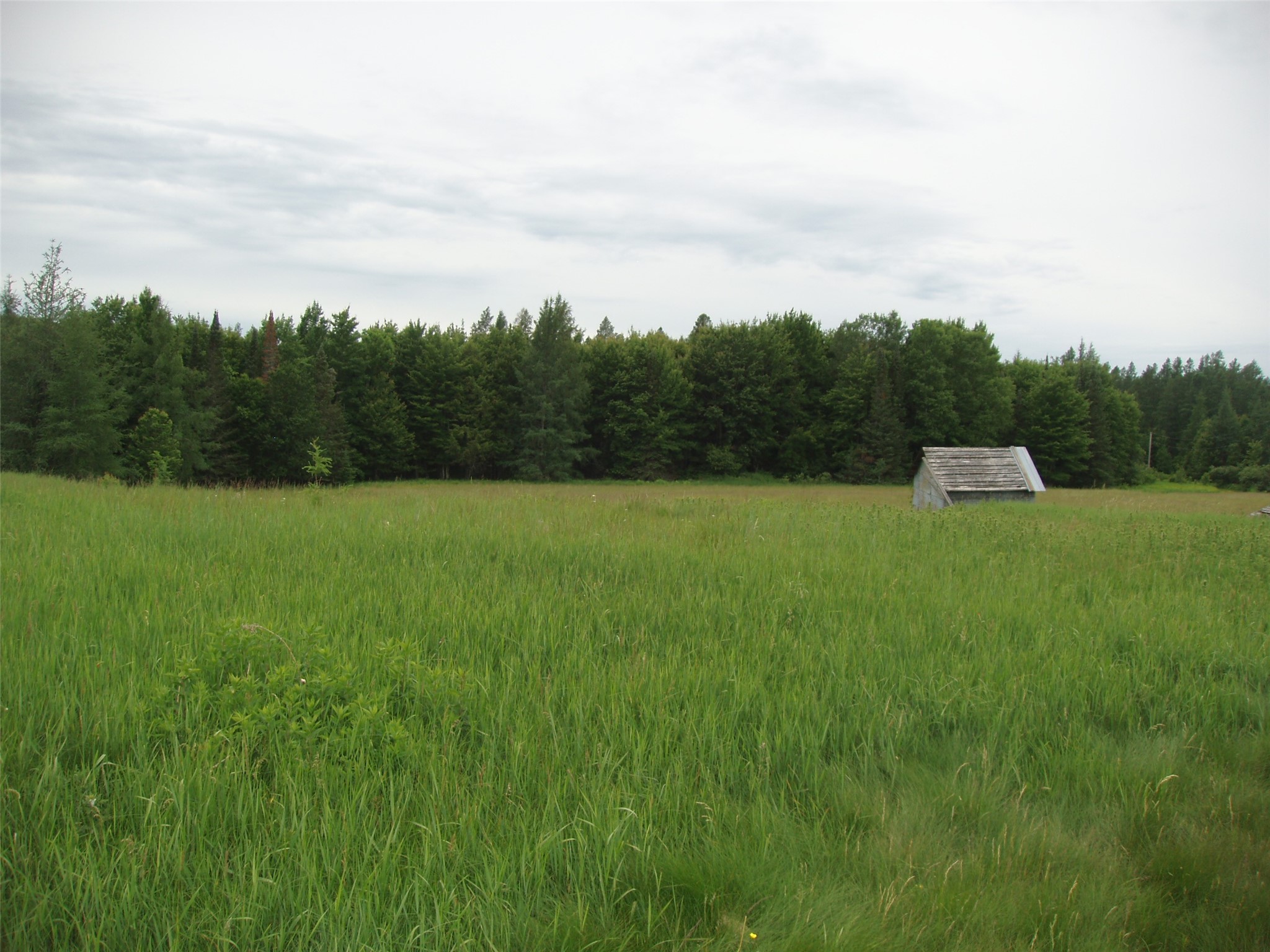 N16798 Bass Lake Road Butternut, WI 54514 - Photo 34 of 52