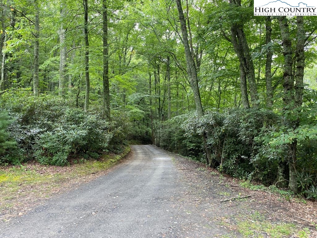 413 Grandpas Farm Road Fleetwood, NC 28626 - Photo 9 of 9