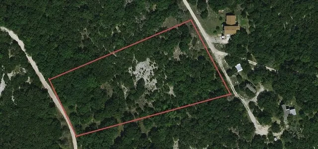 a view of a yard with a tree