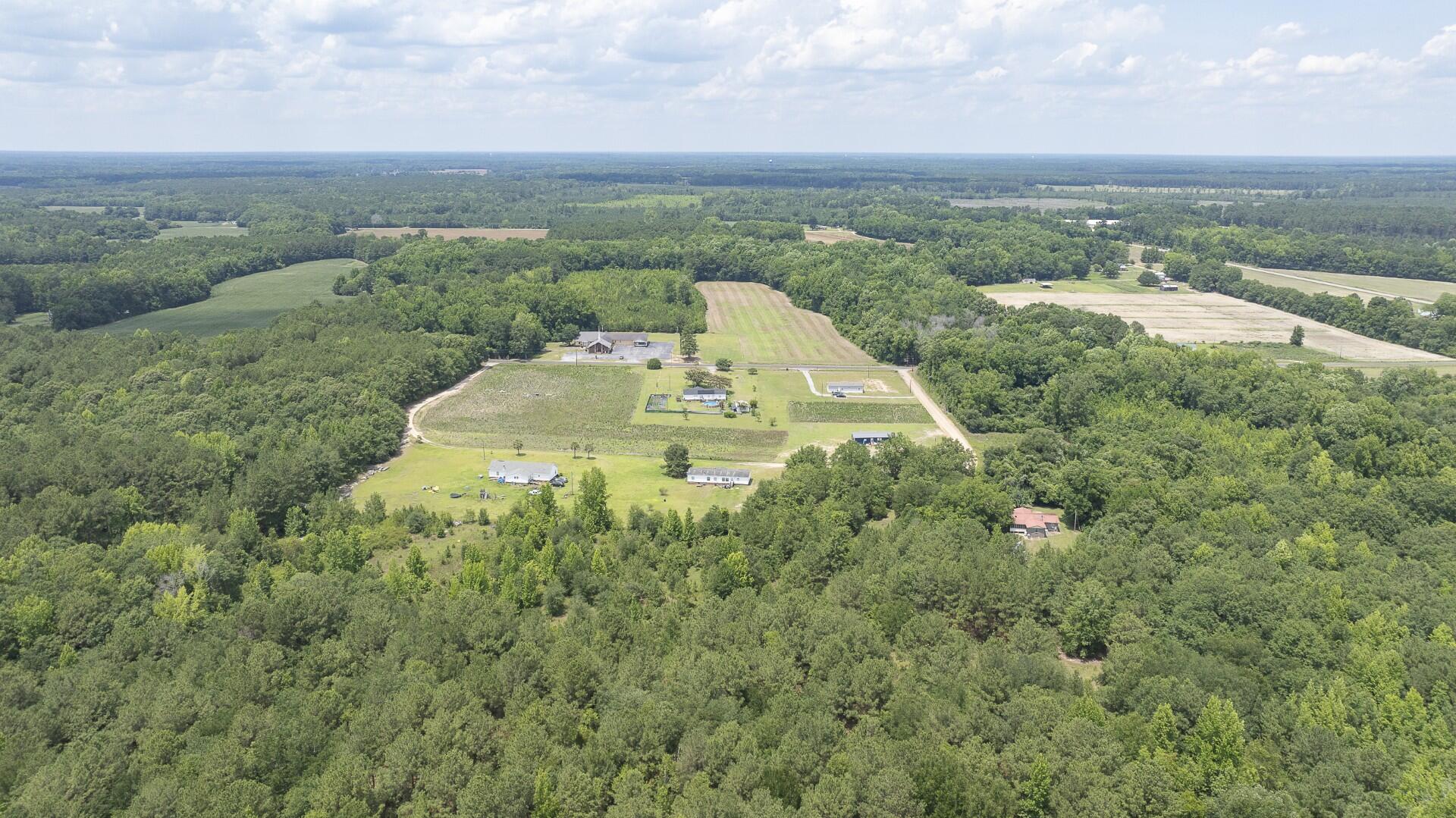 2 Joseph Lemon And Dingle Road Manning, SC 29102 - Photo 29 of 44