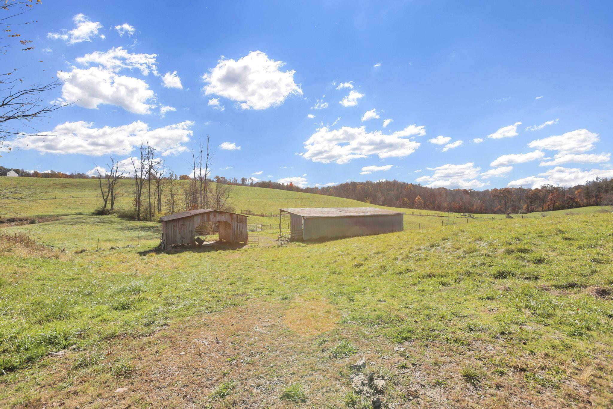 38482 Scout Road Logan, OH 43138 - Photo 63 of 86 66-web-or-mls-LO5A9079