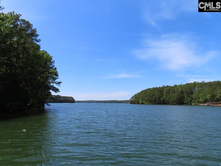 201 State Rd S-20-99 Blair, SC 29015 - Photo 26 of 61